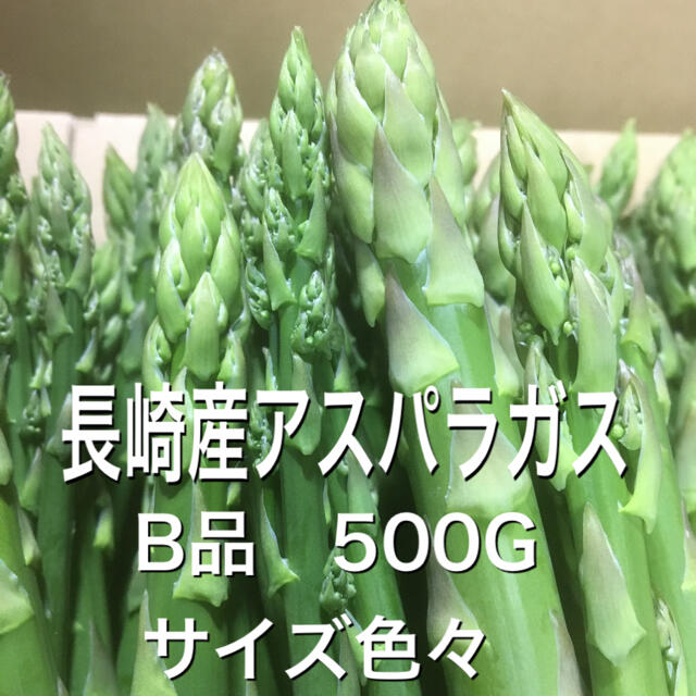 長崎産アスパラガス　B品　500G 食品/飲料/酒の食品(野菜)の商品写真