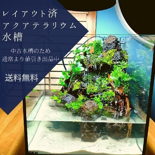 希少 黒入荷 滝の流れるアクアテラリウム オーストラリア編 魚用品 水草 Post Dreifing Is