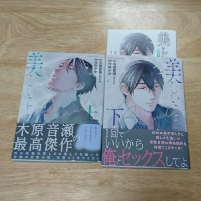 美しいこと 上下セット【犬井ナオ・木原音瀬】 | フリマアプリ ラクマ