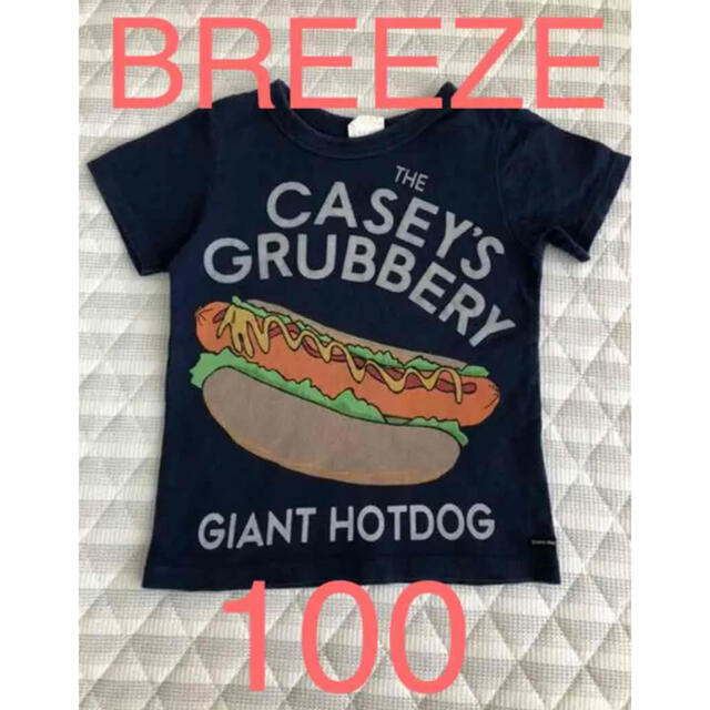 BREEZE(ブリーズ)のブリーズ100サイズ キッズ/ベビー/マタニティのキッズ服男の子用(90cm~)(Tシャツ/カットソー)の商品写真