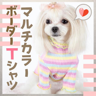 わんちゃん Tシャツ 可愛い 犬 服 お散歩 春 ストレッチ 小型犬 XS S(犬)