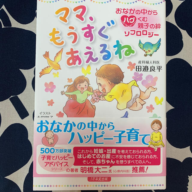 ママ、もうすぐあえるね　おなかの中からハグくむ親子の絆ソフロロジー エンタメ/ホビーの雑誌(結婚/出産/子育て)の商品写真