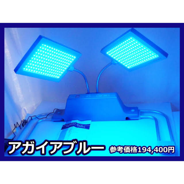 超美品 バイオテック アガイアブルー 【待望☆】 8160円 www.toyotec.com