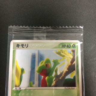 ポケモンカード キモリ 未開封 ポケモンセンターヨコハマ A5-12