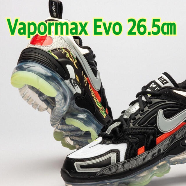 SNKRSNike Air Vapormax EVO NRG