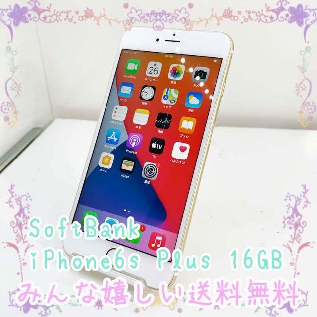 iPhone(アイフォーン)の訳あり Apple SoftBank iPhone6s Plus 16GB  スマホ/家電/カメラのスマートフォン/携帯電話(スマートフォン本体)の商品写真