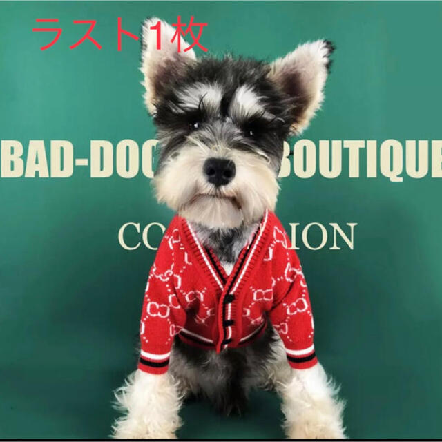 専用◼️ニットカーデガン・犬服◼️M