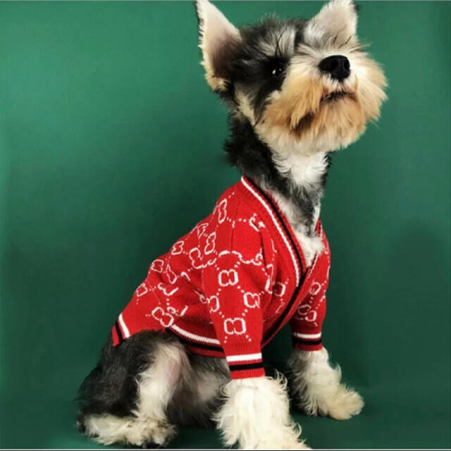 専用◼️ニットカーデガン・犬服◼️M