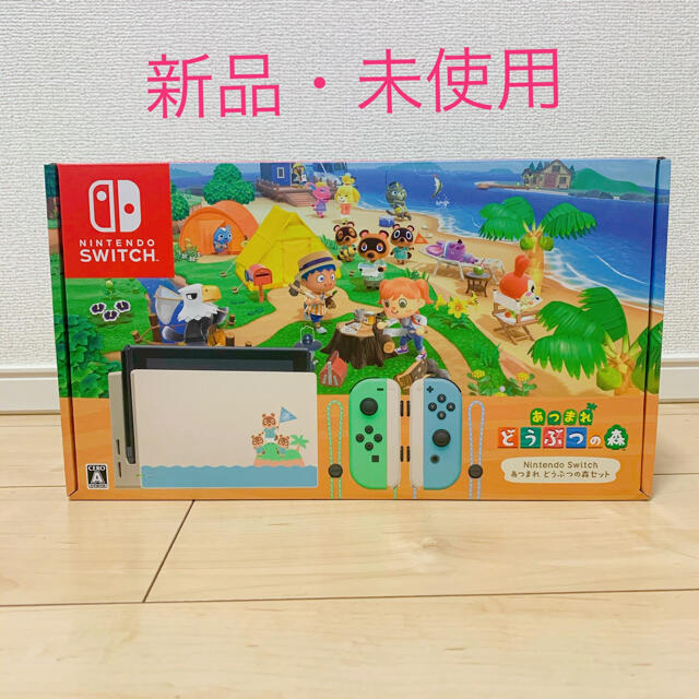 Nintendo Switch あつまれどうぶつの森セット