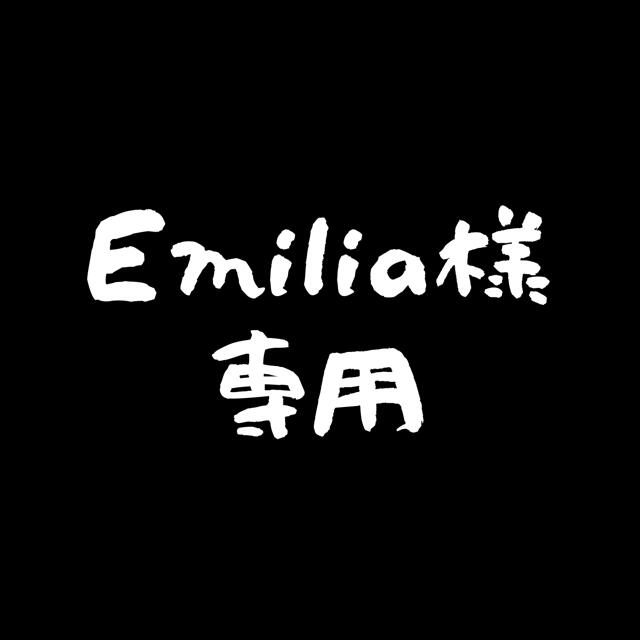 Emilia さま専用 エンタメ/ホビーのアート用品(絵の具/ポスターカラー)の商品写真