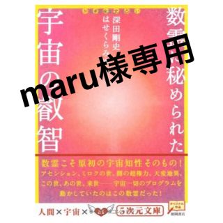 数霊に秘められた宇宙の叡智 かずたま占い(文学/小説)