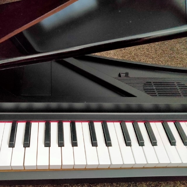 KORG(コルグ)のKORG microPIANO / コルグ マイクロピアノ 楽器の鍵盤楽器(電子ピアノ)の商品写真