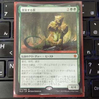 マジックザギャザリング(マジック：ザ・ギャザリング)のMTG エルドレインの王権 探索する獣(シングルカード)