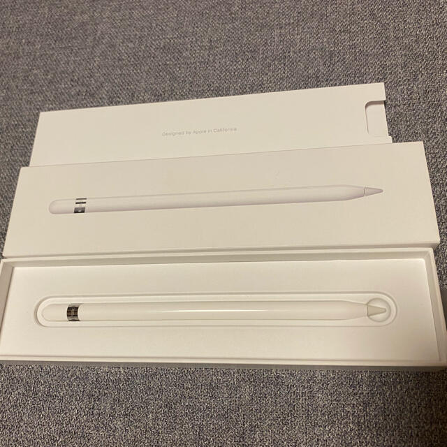 Apple Pencil iPad 第一世代