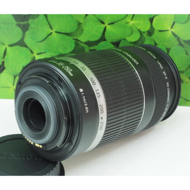 【美品】キャノンEF-S55-250mm 手ブレ補正付き⭐️イベントで大活躍