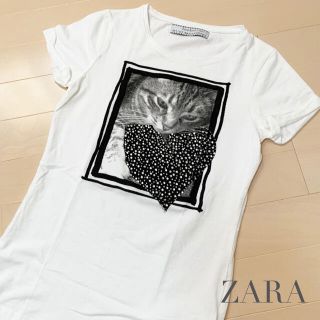 ザラ(ZARA)の試着のみ＊ZARA/ザラ　猫ちゃんTシャツ(Tシャツ(半袖/袖なし))