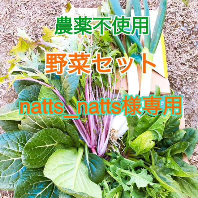 畑直送‼︎ 味自慢野菜セット　　　　　　　農薬不使用 食品/飲料/酒の食品(野菜)の商品写真