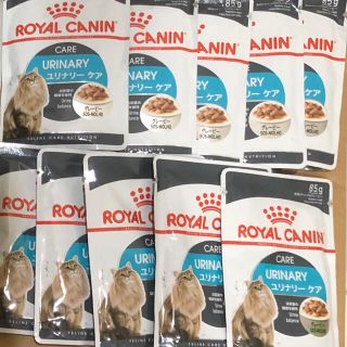 ロイヤルカナン(ROYAL CANIN)のロイヤルカナン 成猫用ウェットフード10袋 ユリナリーケア グレービー(ペットフード)