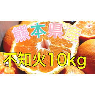 熊本県産不知火10kg(フルーツ)