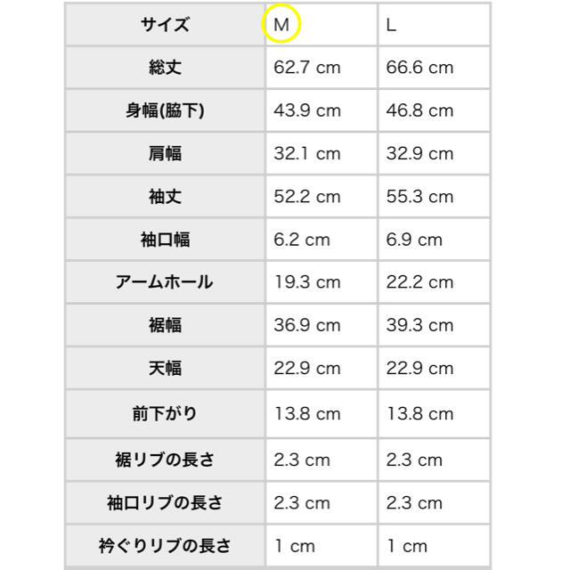 antiqua(アンティカ)のantiqua♛ キーネックリブ綿ニット Mサイズ レディースのトップス(ニット/セーター)の商品写真