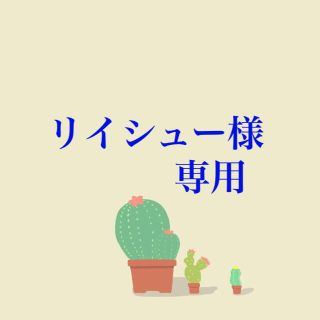 リイシュー様 専用(その他)