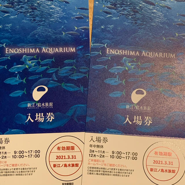 新江ノ島水族館　入場券ペアチケット チケットの施設利用券(水族館)の商品写真