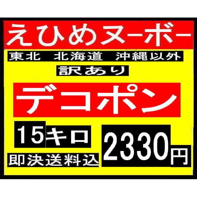 kokomi様専用　えひめヌーボー　訳あり　デコポン　15キロ　　 食品/飲料/酒の食品(フルーツ)の商品写真