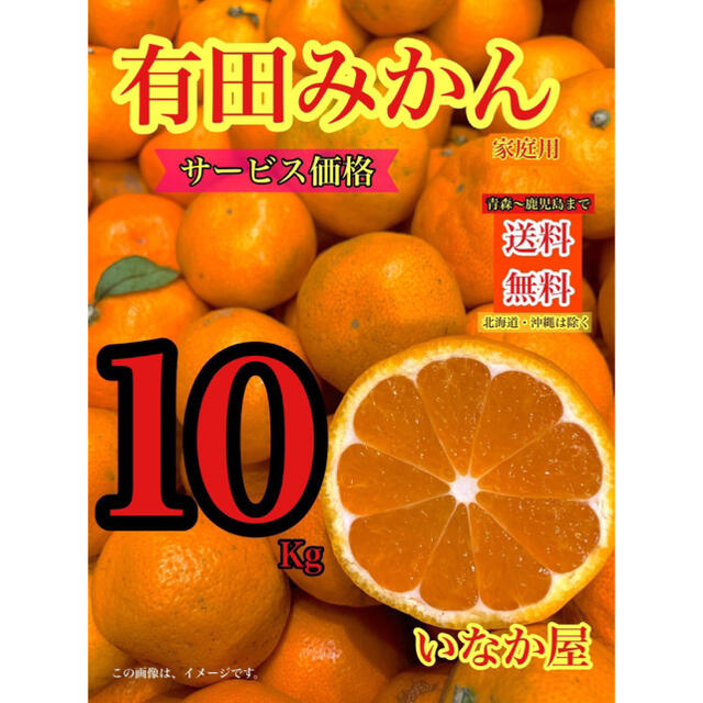 有田みかん　家庭用　10kg 数量限定　早い者勝ち　セール　残り少し 食品/飲料/酒の食品(フルーツ)の商品写真