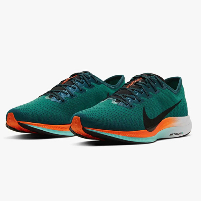 NIKE(ナイキ)のNIKE Zoom Pegasus Turbo2  HAKONE  US7.5 レディースの靴/シューズ(スニーカー)の商品写真