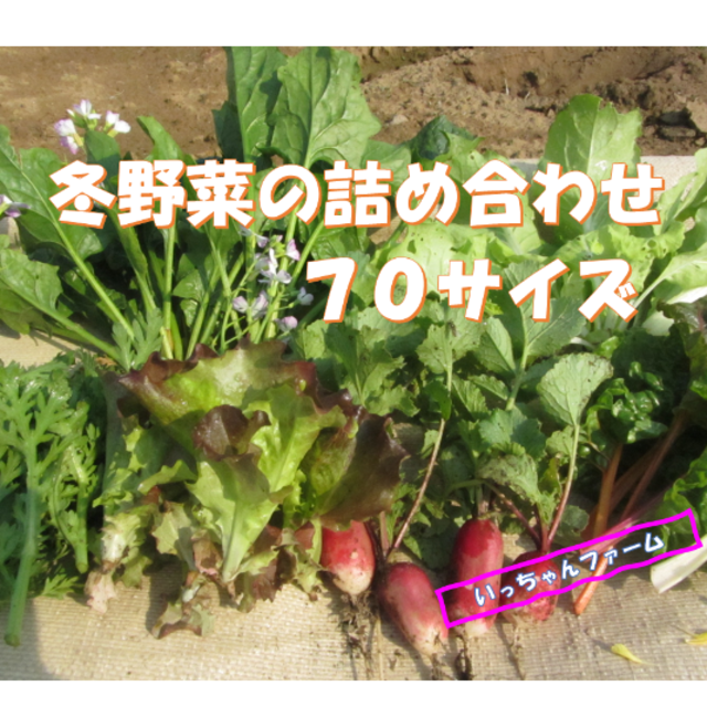 ゆきりん様専用　冬野菜の詰め合わせ　７０サイズにて　 食品/飲料/酒の食品(野菜)の商品写真