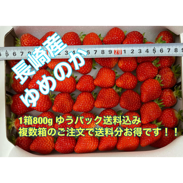 食品長崎県産いちご　ゆめのか　4箱