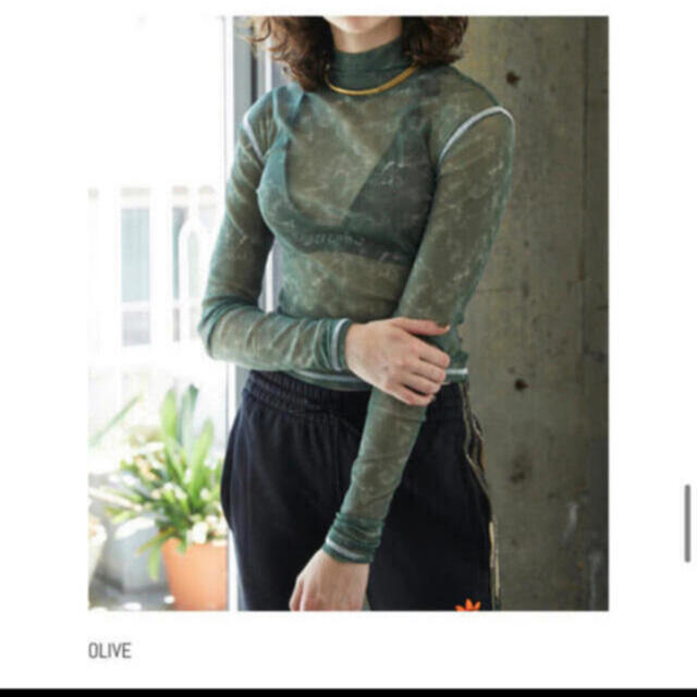 ALEXIA STAM(アリシアスタン)のStone Tulle Turtle Neck  JUEMI レディースのトップス(カットソー(長袖/七分))の商品写真