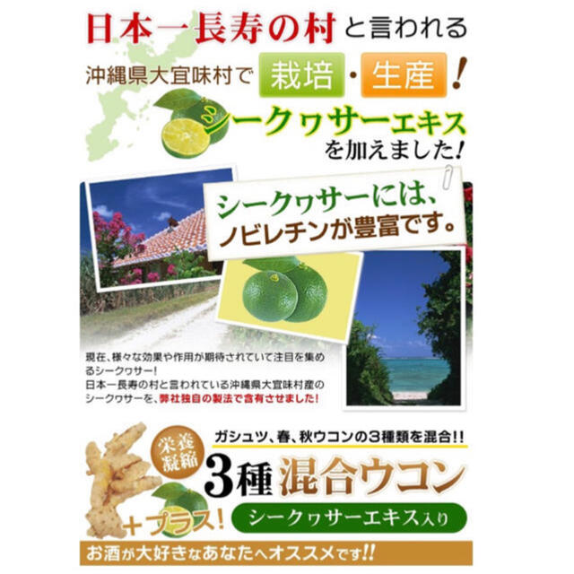  3種混合ウコン+シークヮサーエキス 約1ヵ月分 ガジュツ・春ウコン・秋ウコン 食品/飲料/酒の健康食品(その他)の商品写真