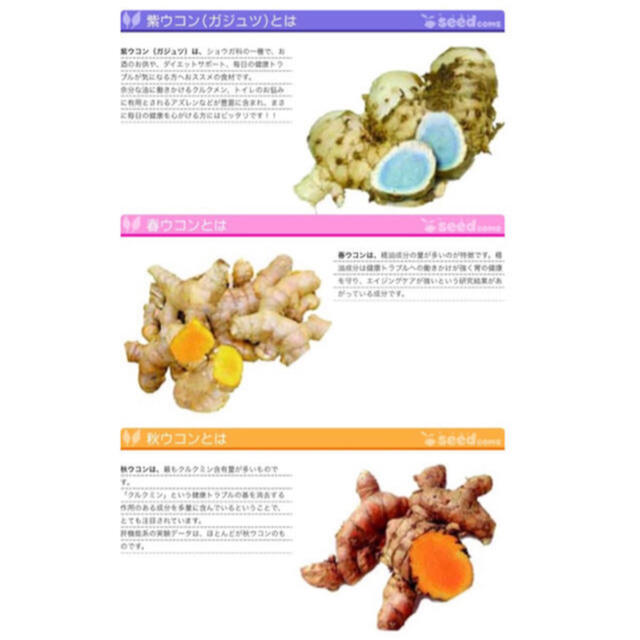  3種混合ウコン+シークヮサーエキス 約1ヵ月分 ガジュツ・春ウコン・秋ウコン 食品/飲料/酒の健康食品(その他)の商品写真