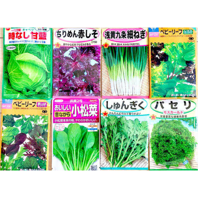 オススメ！手軽に栽培できる8種類セット✨野菜の種 家庭菜園にピッタリ 葉物野菜 食品/飲料/酒の食品(野菜)の商品写真