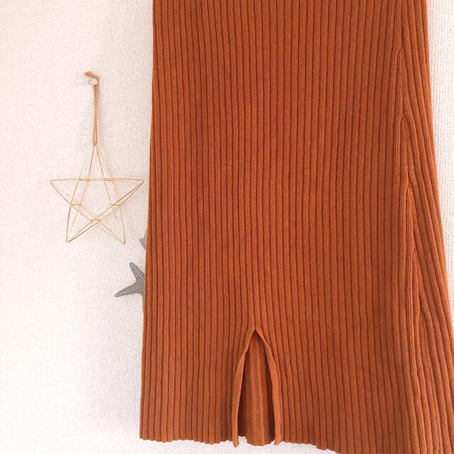 Kastane(カスタネ)のカスタネ♡リブスカート レディースのスカート(ひざ丈スカート)の商品写真