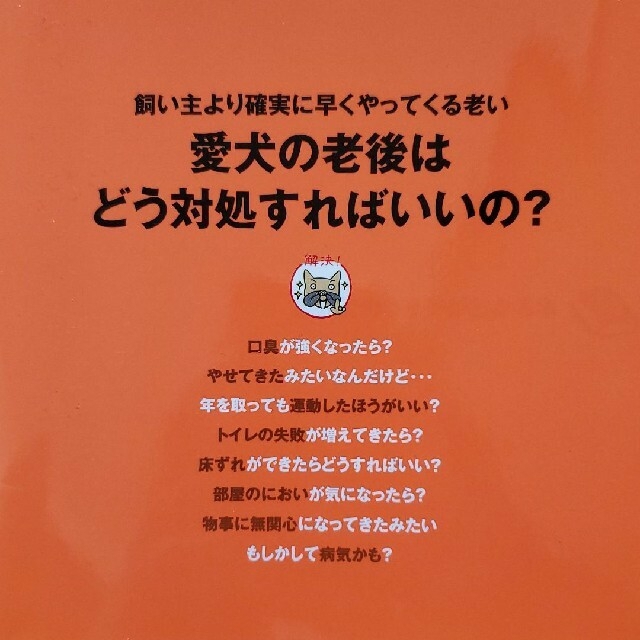 高齢犬のキモチがわかる本　犬　老犬　本　趣味の教科書 エンタメ/ホビーの本(住まい/暮らし/子育て)の商品写真