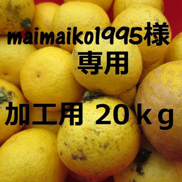 maimaiko1995様専用☆ 加工用20ｋ湘南ゴールド 🍊訳あり不選別 食品/飲料/酒の食品(フルーツ)の商品写真