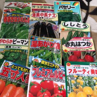 夏野菜　種子セット　送料込み　小分け(プランター)