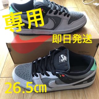 ナイキ(NIKE)のNIKE SB DUNK LOW PRO "VX1000 CAMCORDER"(スニーカー)