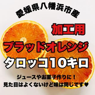 愛媛県八幡浜市産【加工用ブラッドオレンジ】タロッコ10キロ(フルーツ)