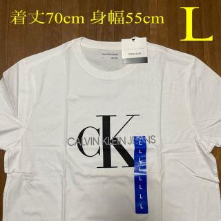 カルバンクライン(Calvin Klein)のカルバンクライン未使用品tシャツ　(L)(Tシャツ/カットソー(半袖/袖なし))