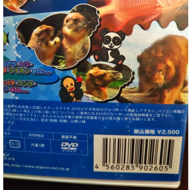 キッズDVD 動物園・海の生き物達せいぞろい エンタメ/ホビーのDVD/ブルーレイ(キッズ/ファミリー)の商品写真