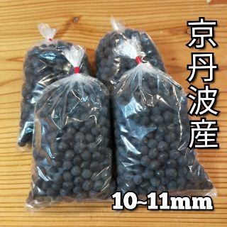 丹波黒大豆 1200g 京丹波町 令和2年産 農家直送 丹波産 丹波の黒豆　半額(米/穀物)