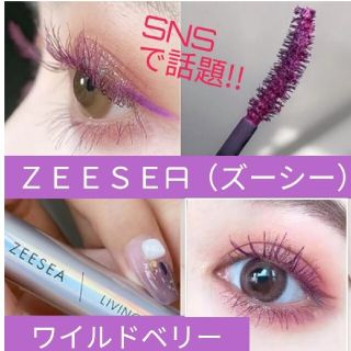 エチュードハウス(ETUDE HOUSE)の【 SNSで話題】 ズーシー カラーマスカラ クリオ 3ce メイベリン マジョ(マスカラ)