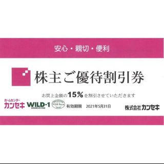 スノーピーク(Snow Peak)のWILD-1 カンセキ 株主優待 割引券 1枚有効期限2021年5月31日(その他)