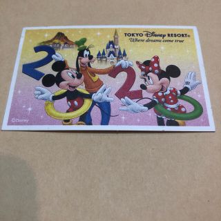 ディズニー未使用チケット(遊園地/テーマパーク)
