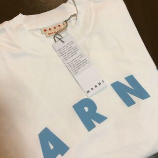 マルニ(Marni)のMARNI☆コットンジャージー製Tシャツ☆希少サイズ36(Tシャツ(半袖/袖なし))