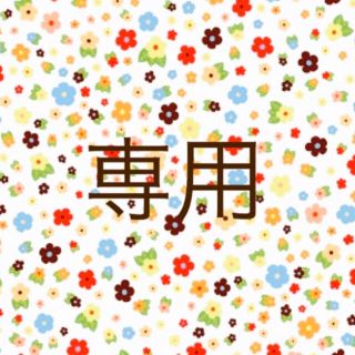 えっちゃん様専用(アート/エンタメ/ホビー)