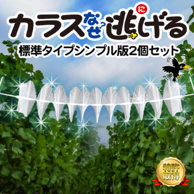2021春大特価セール！ カラスなぜ逃げる? オールラウンドタイプ 場所も高さも自由自在 撃退率95％以上 カラス撃退 